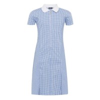 Ysgol Iolo Morganwg Gingham Dress